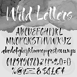 Brush lettering alphabetical set