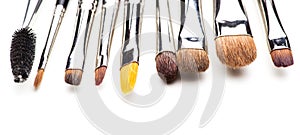 The different makeup brushes isolated on white background