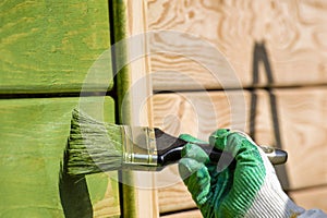 Brush painter close-up painting wooden wall in green