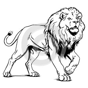 brush painting ink draw isolated lion illustration