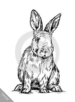 Brush painting ink draw isolated rabbit illustration