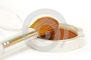 Brush and powder for makeup