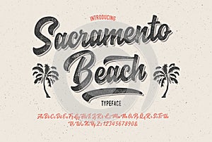 Brush Script Font Original Retro Typeface Vector