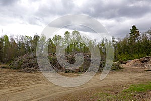 Brush and wood chip piles