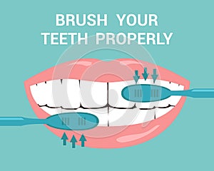 Brush your Teeth Properly Flat Vector Illustration photo