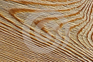 Brushed wood texture