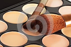 Brushes for concealer and palette of professional makeup concealer