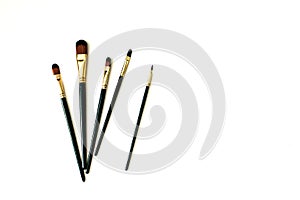 Brushes of different sizes on a white background.