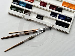 brushes and watercolor paints on a white background