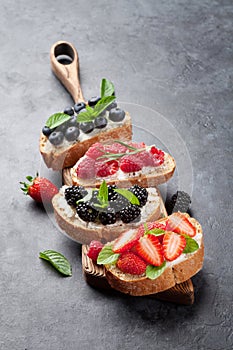 Brushetta or traditional spanish tapas with various berries. Appetizers italian antipasti snacks set