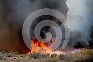 Brushfire photo