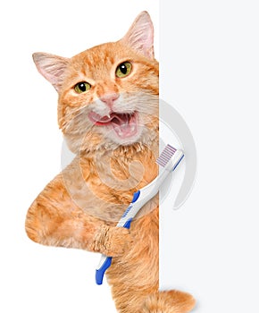 Brushing teeth cat.