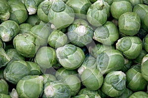 Brussel sprout