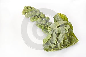 Brussel Sprouts