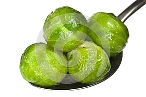 Brussel Sprouts