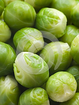 Brussel Sprouts