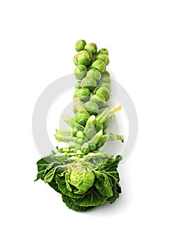 Brussel sprouts