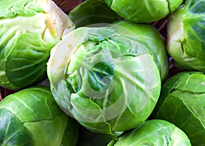 Brussel sprouts