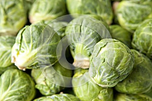 Brussel Sprouts in Pile