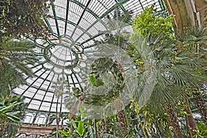 The Royal Greenhouses of Laeken, Brussels, Belgium