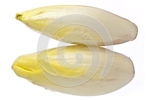 Brussels Chicory isolated over white