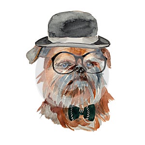 Brussels griffon dog - hand painted, isolated on white background watercolor hipster dog portrait