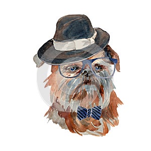 Brussels griffon dog - hand painted, isolated on white background watercolor hipster dog portrait