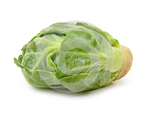 Brussels sprout