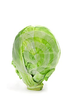 Brussels sprout