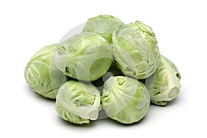 Brussels Sprout