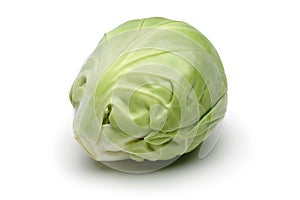 Brussels Sprout