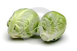 Brussels Sprout