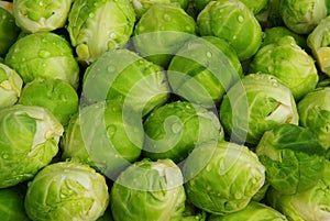 Brussels sprout