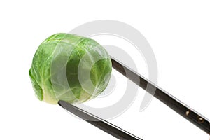 Brussels Sprout and Chopsticks