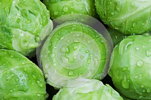 Brussels sprouts background