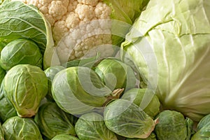 Brussels sprouts, cauliflower, and white cabbage close up.