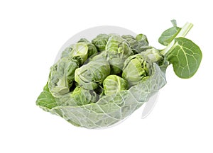 Brussels sprouts compromised