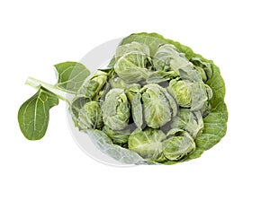 Brussels sprouts compromised