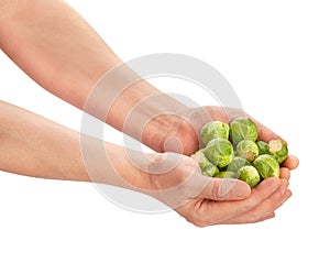 brussels sprouts in hand