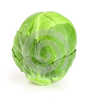 Brussels sprouts isolated on white background closeup