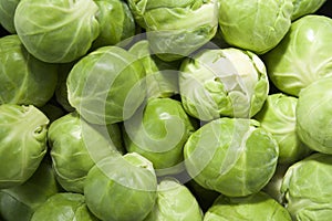 Brussels sprouts (landscape)