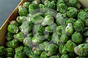 Brussels sprouts. Trade in seasonal goods