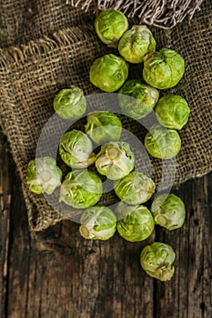 Brussels sprouts vegetables