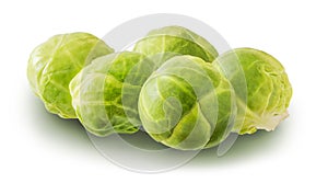 Brussels Sprouts on White Background