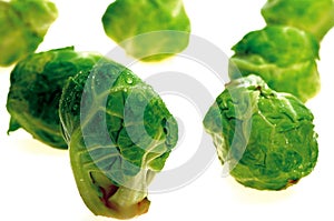 Brussels sprouts on white background.