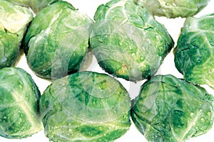 Brussels sprouts on white background.