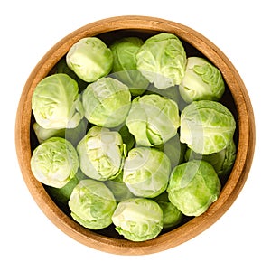 Brussels sprouts in wooden bowl over white