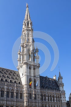 Brusselsâ€™s Town Hall, Belgium