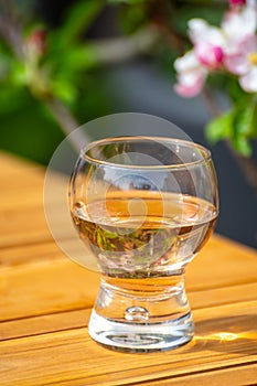 Brut apple cider from Betuwe, Gelderland, in glass and blossom of apple tree in garden on background on sunny day, apple cider