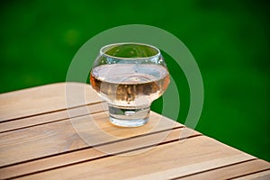 Brut apple cider from Betuwe, Gelderland, in glass, apple cider production in Netherlands photo